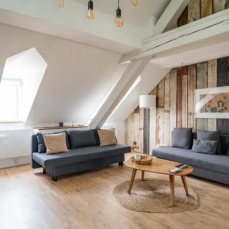 Appartement Le Schoepflin - Coeur De - Vue Toits Straatsburg