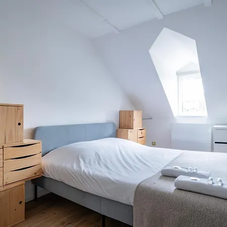 Appartement Le Schoepflin - Coeur De - Vue Toits Straatsburg