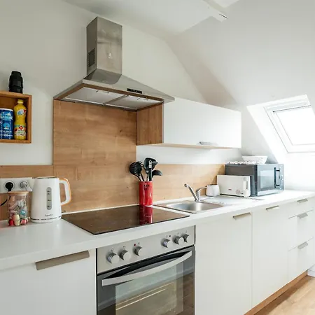 Le Schoepflin - Coeur De - Vue Toits * Straatsburg