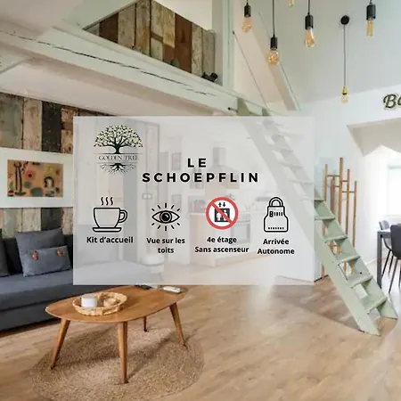 Hyper Centre, Superbe Appartement