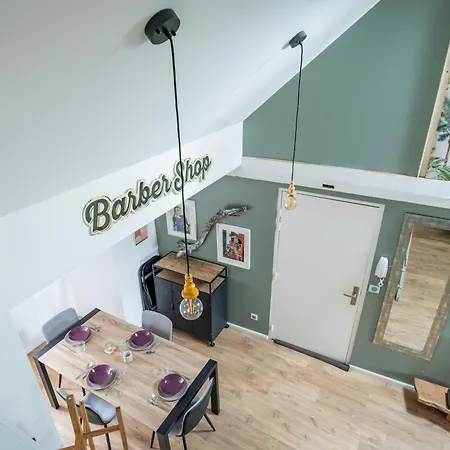 Le Schoepflin - Coeur De - Vue Toits * Estrasburgo